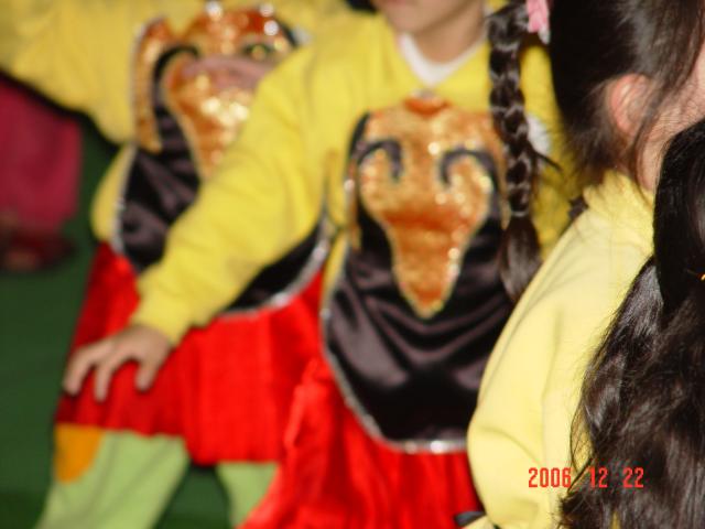 DSC04306