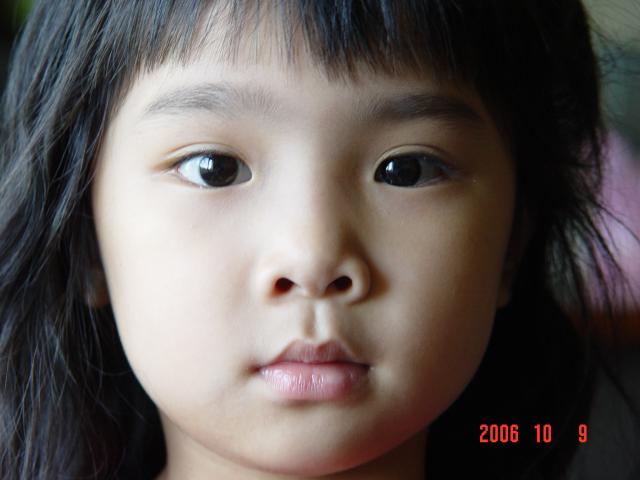DSC03981