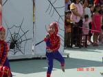 DSC04154