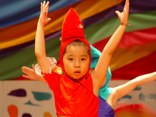 DSC00211