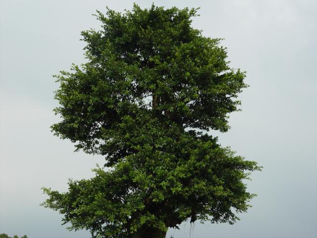 DSC00404
