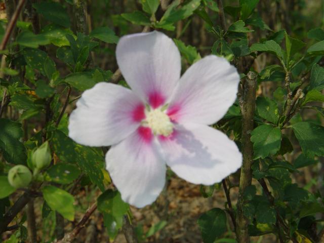 DSC00405