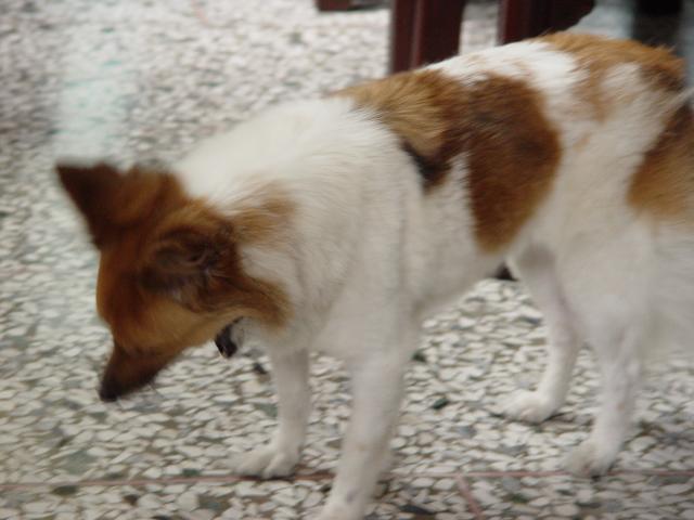 DSC00263