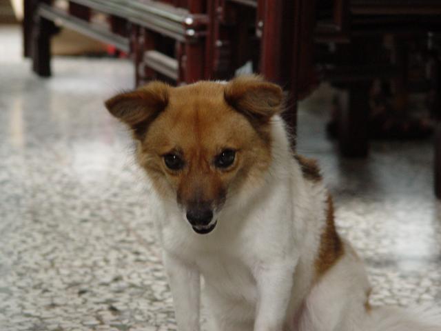 DSC00264
