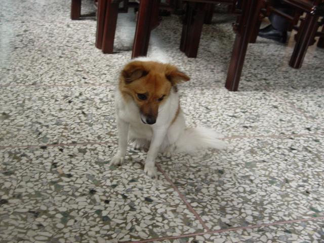 DSC00265