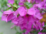 DSC00317