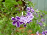 DSC00318