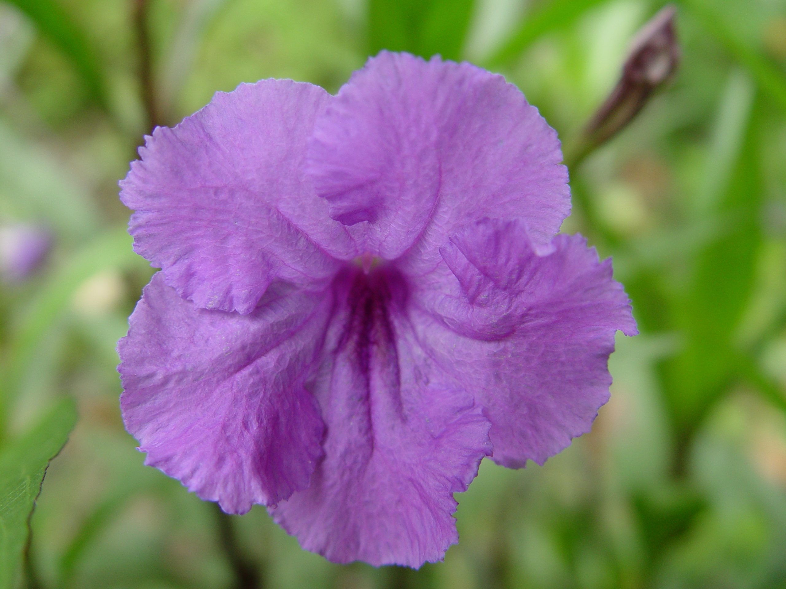 DSC00319