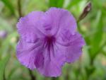 DSC00319