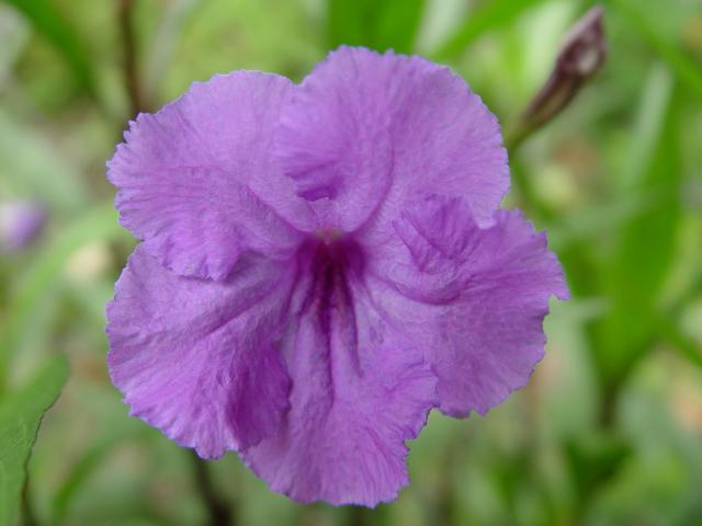 DSC00319