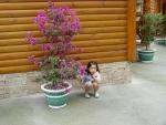 DSC00321