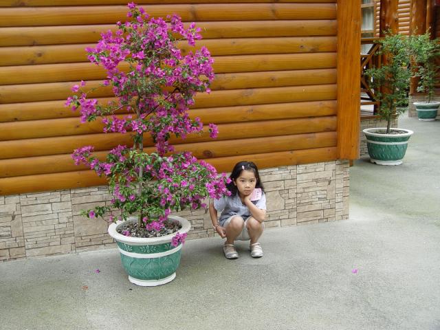 DSC00321
