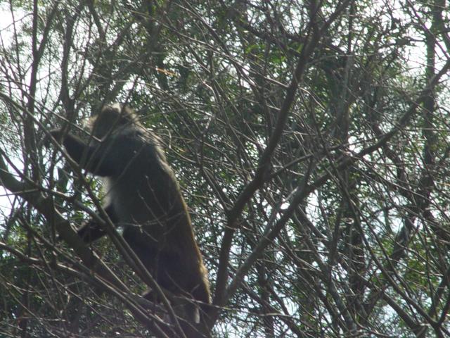 DSC00006