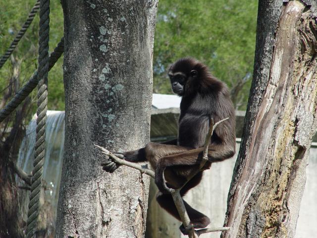 DSC00009