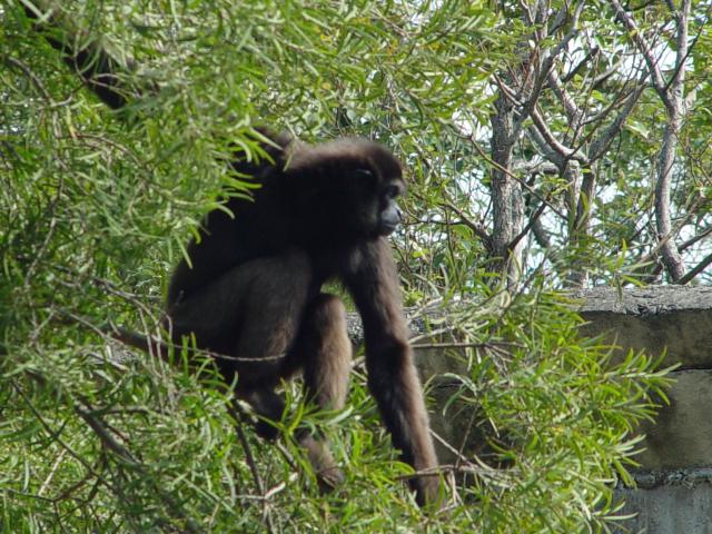 DSC00013