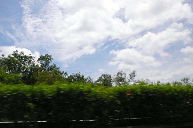 P1010872