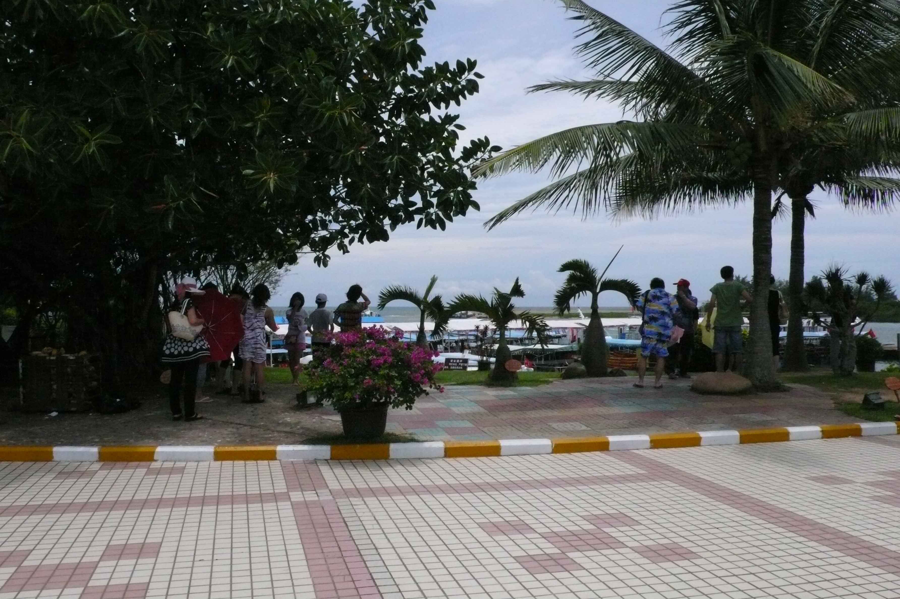 P1010881