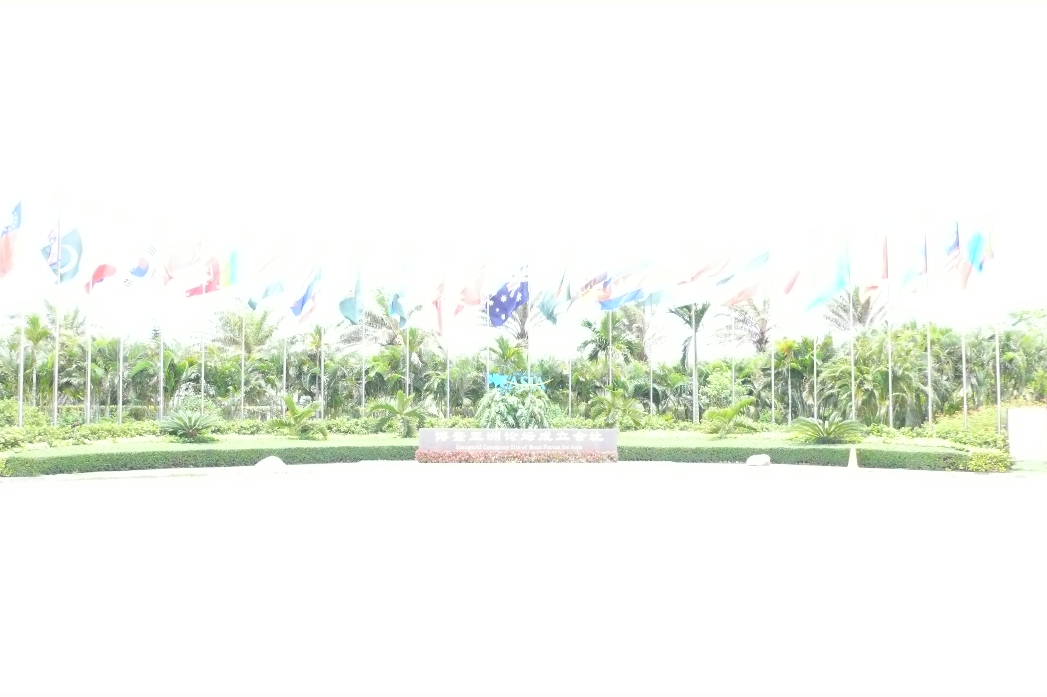 P1010933