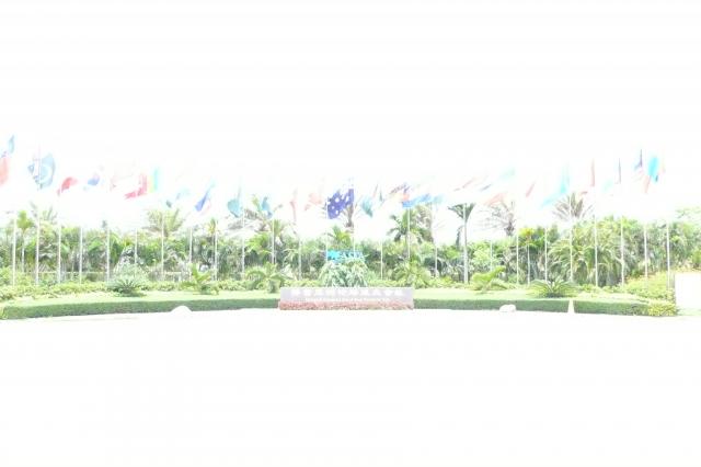 P1010933