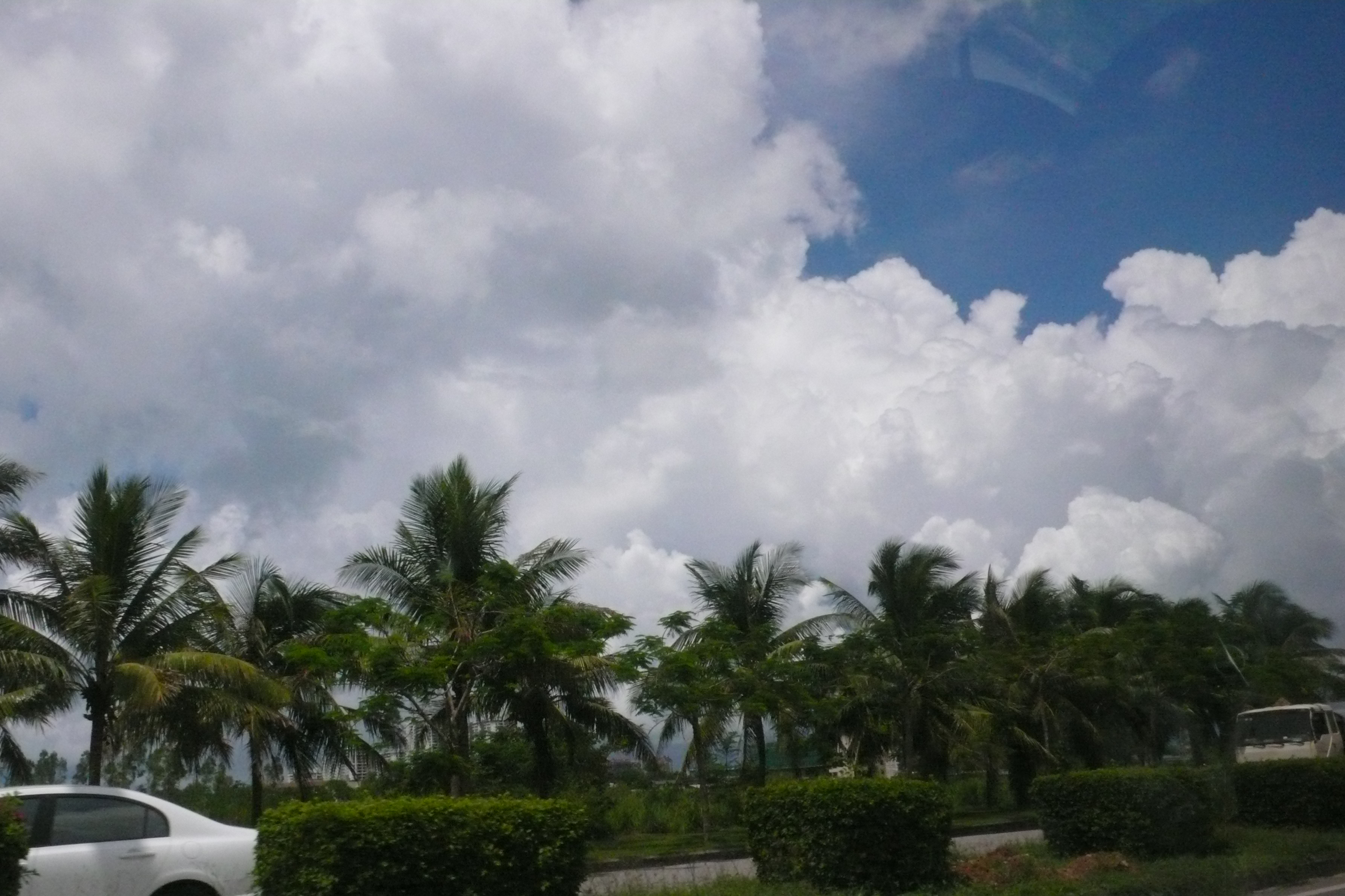 P1010969