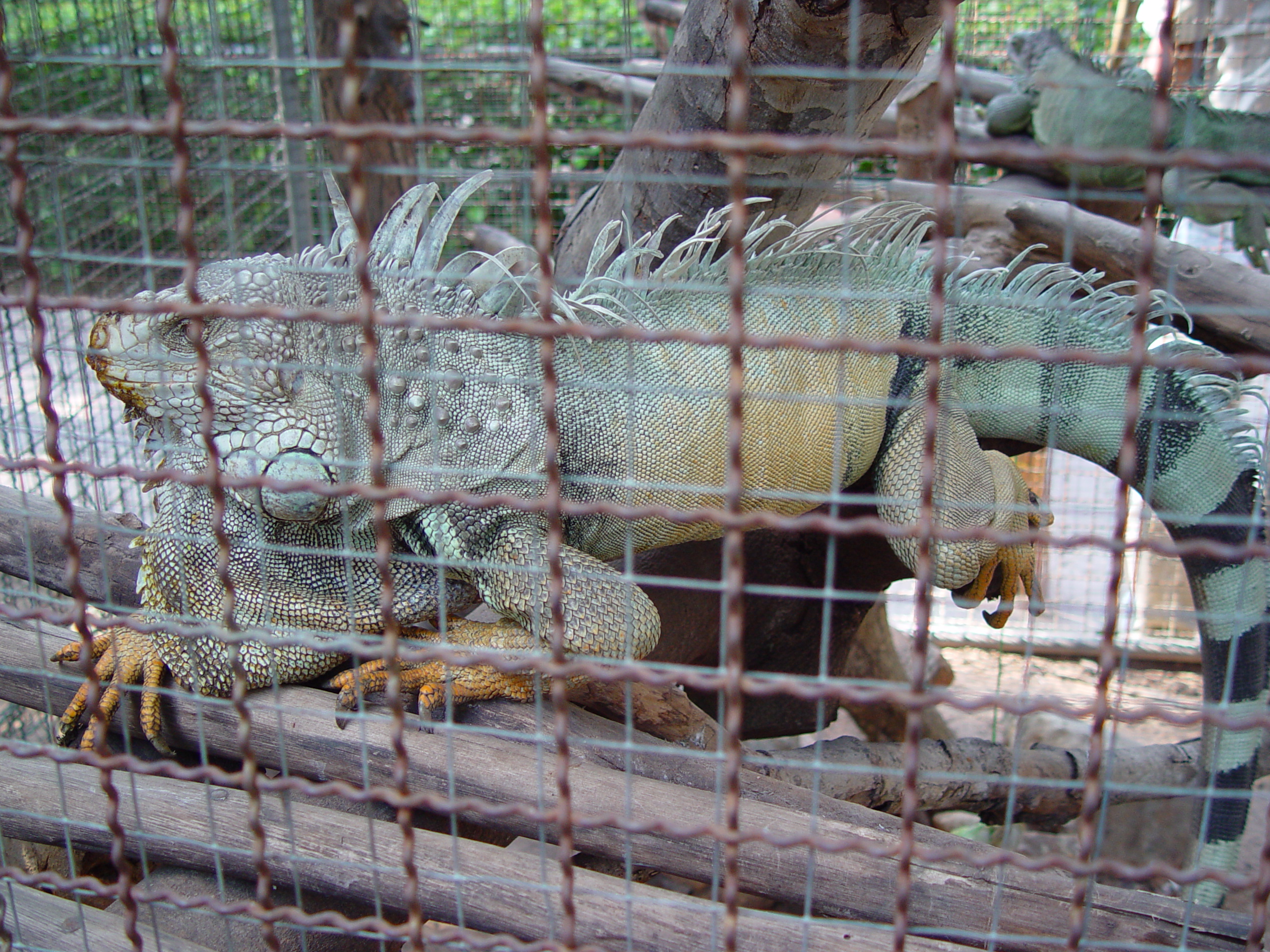 DSC01731