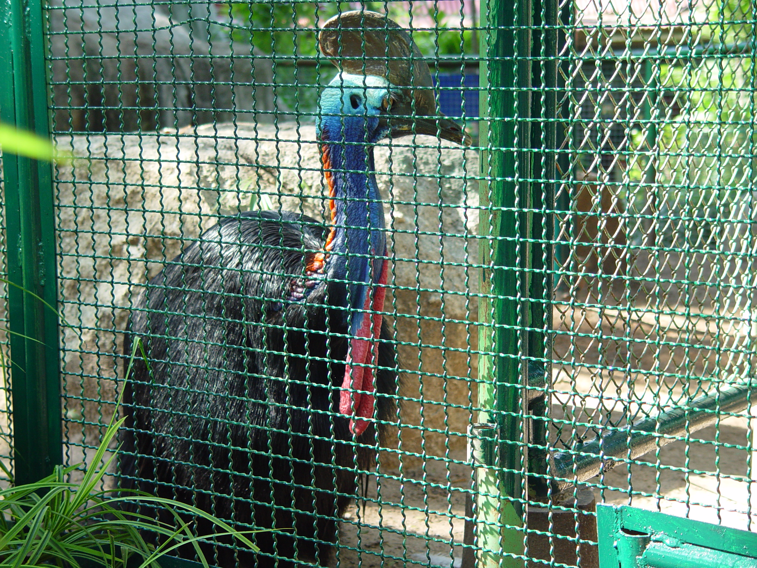 DSC01732