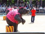 DSC01737