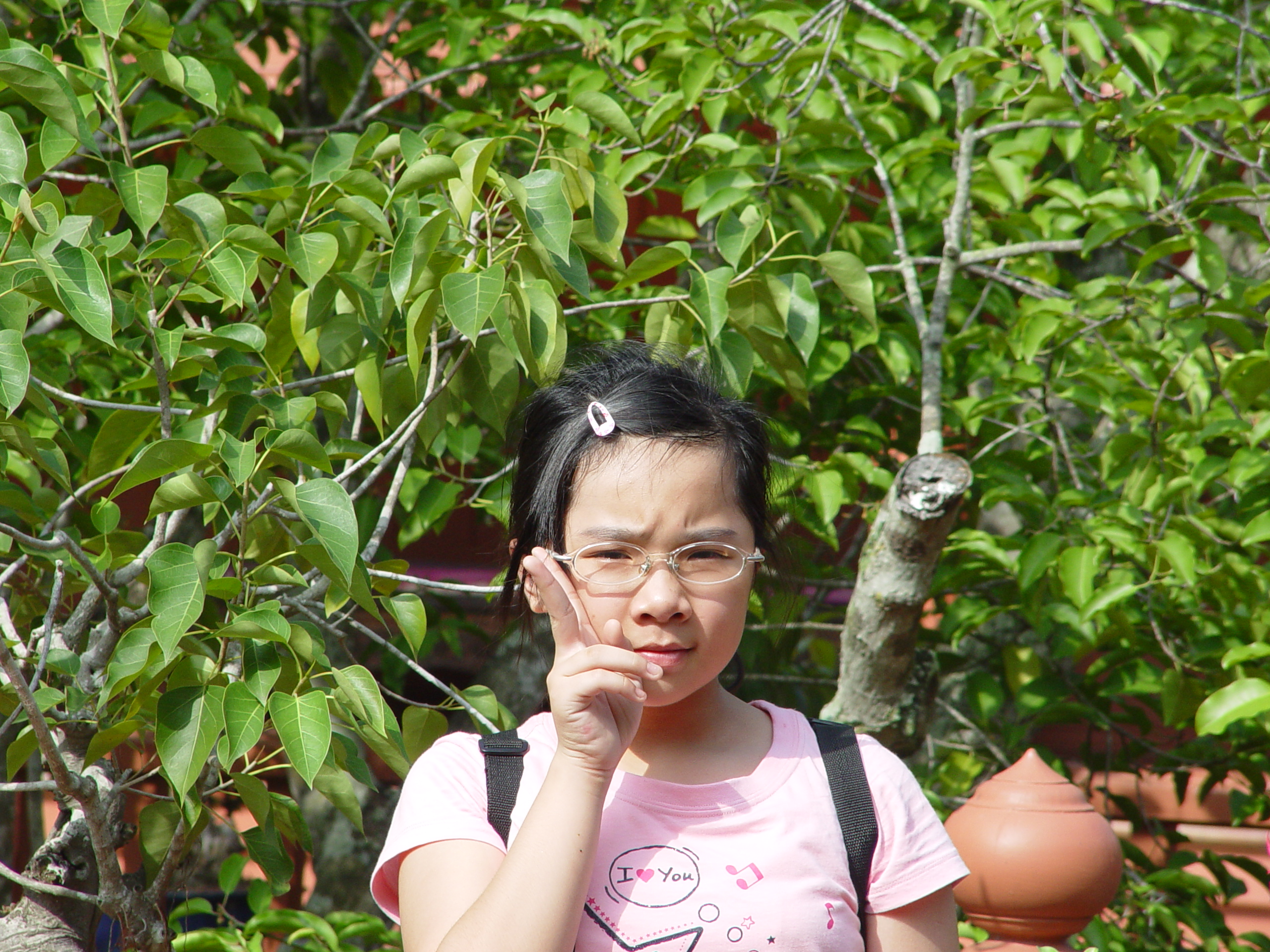 DSC00325