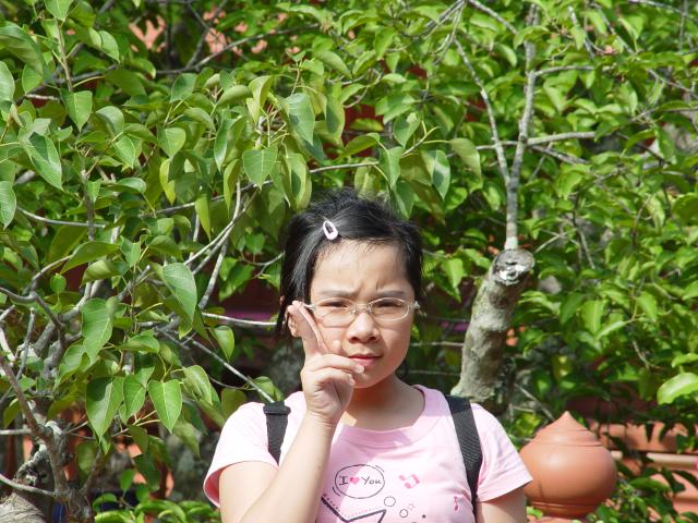 DSC00325