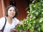 DSC00337