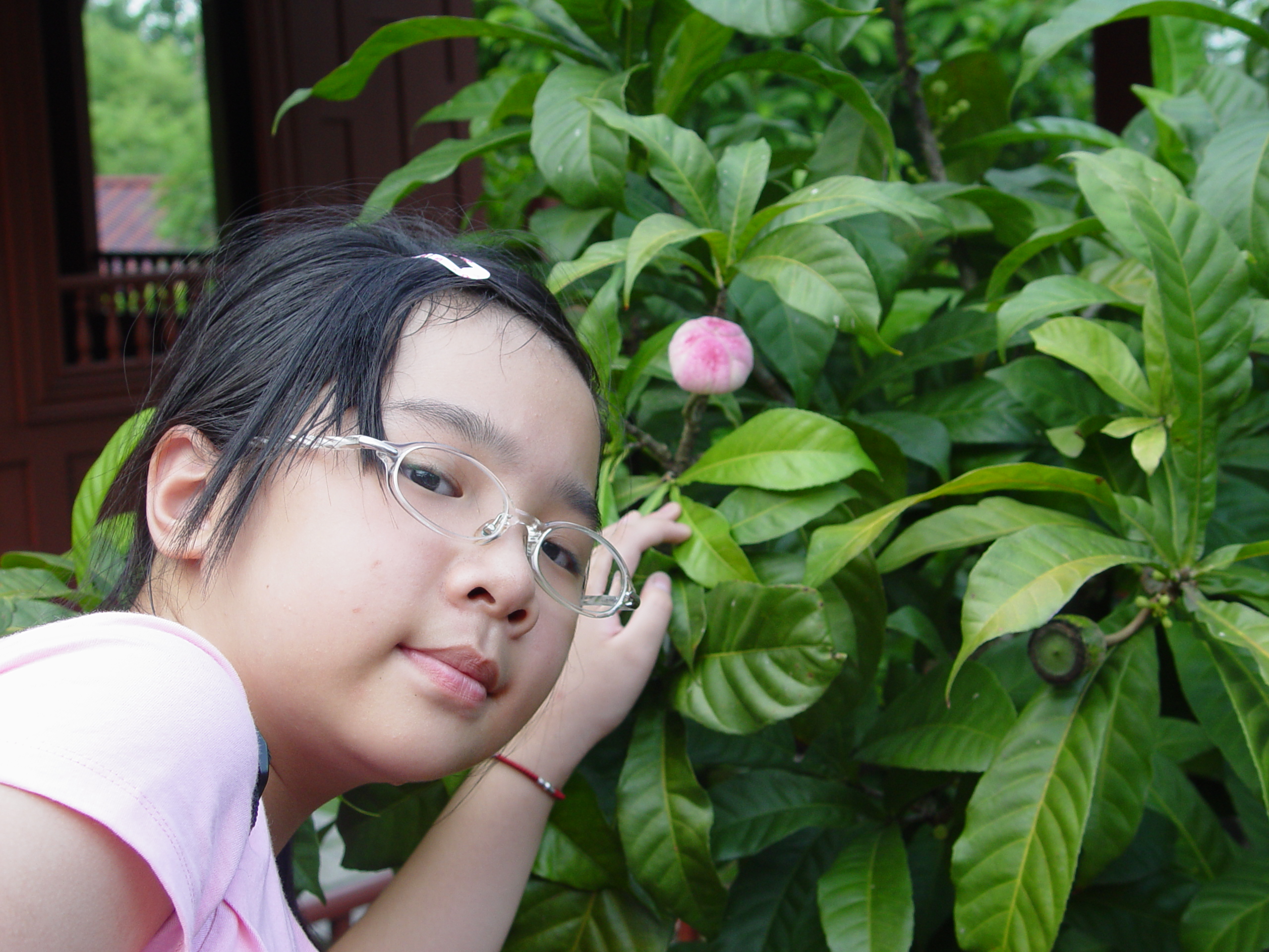 DSC00339