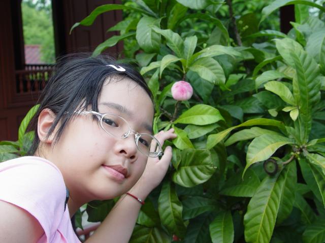 DSC00339