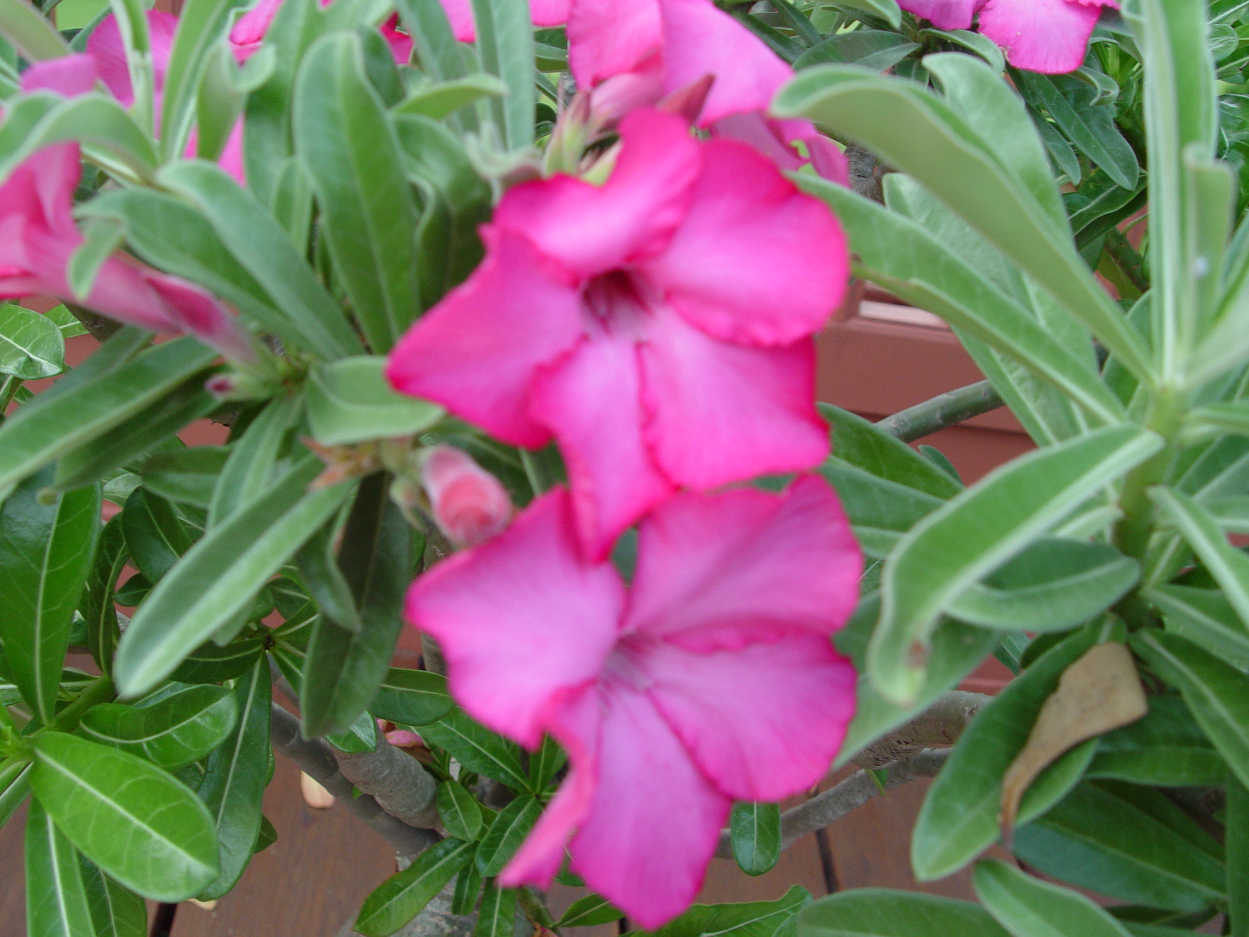 DSC00357