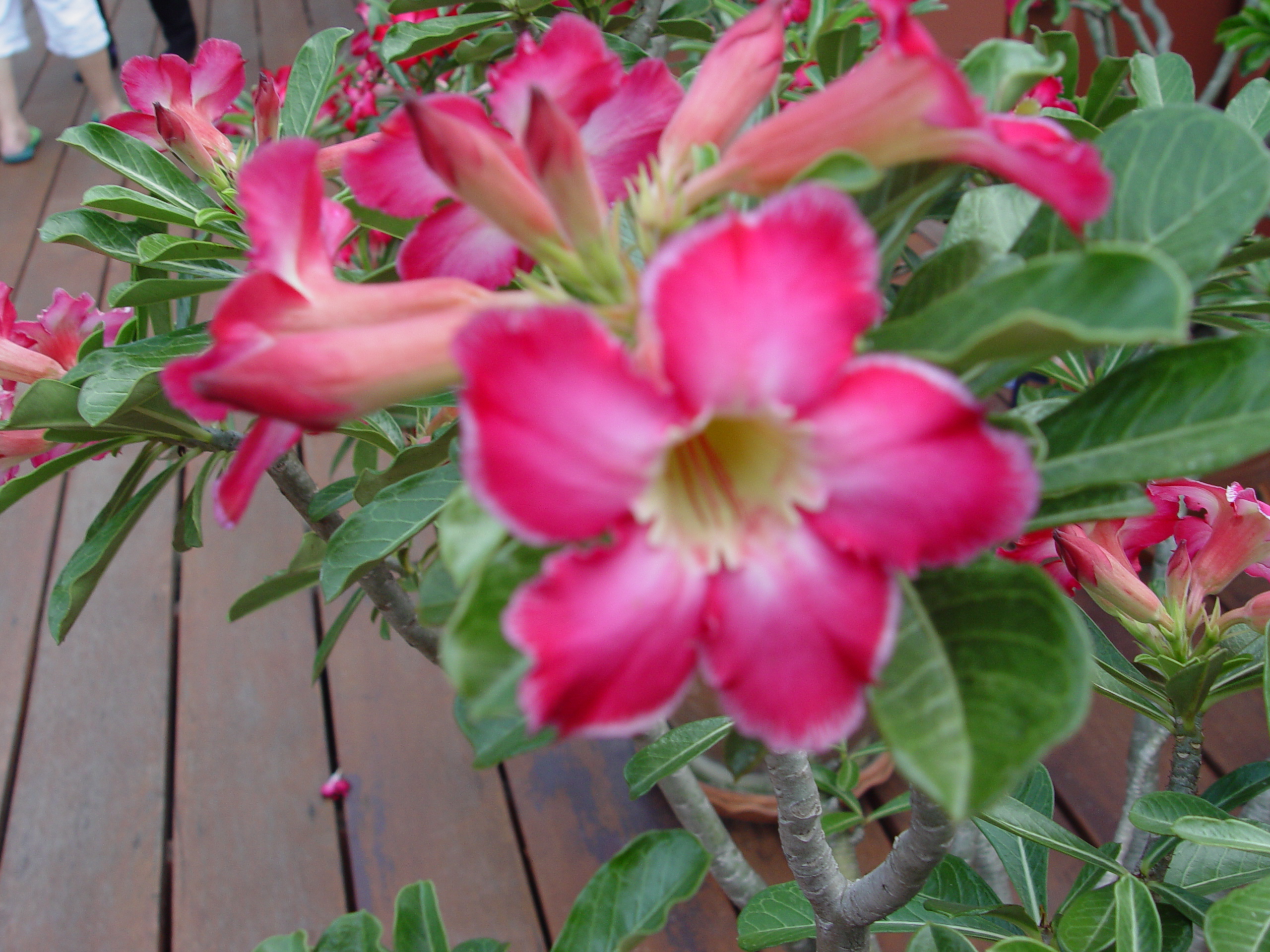 DSC00359