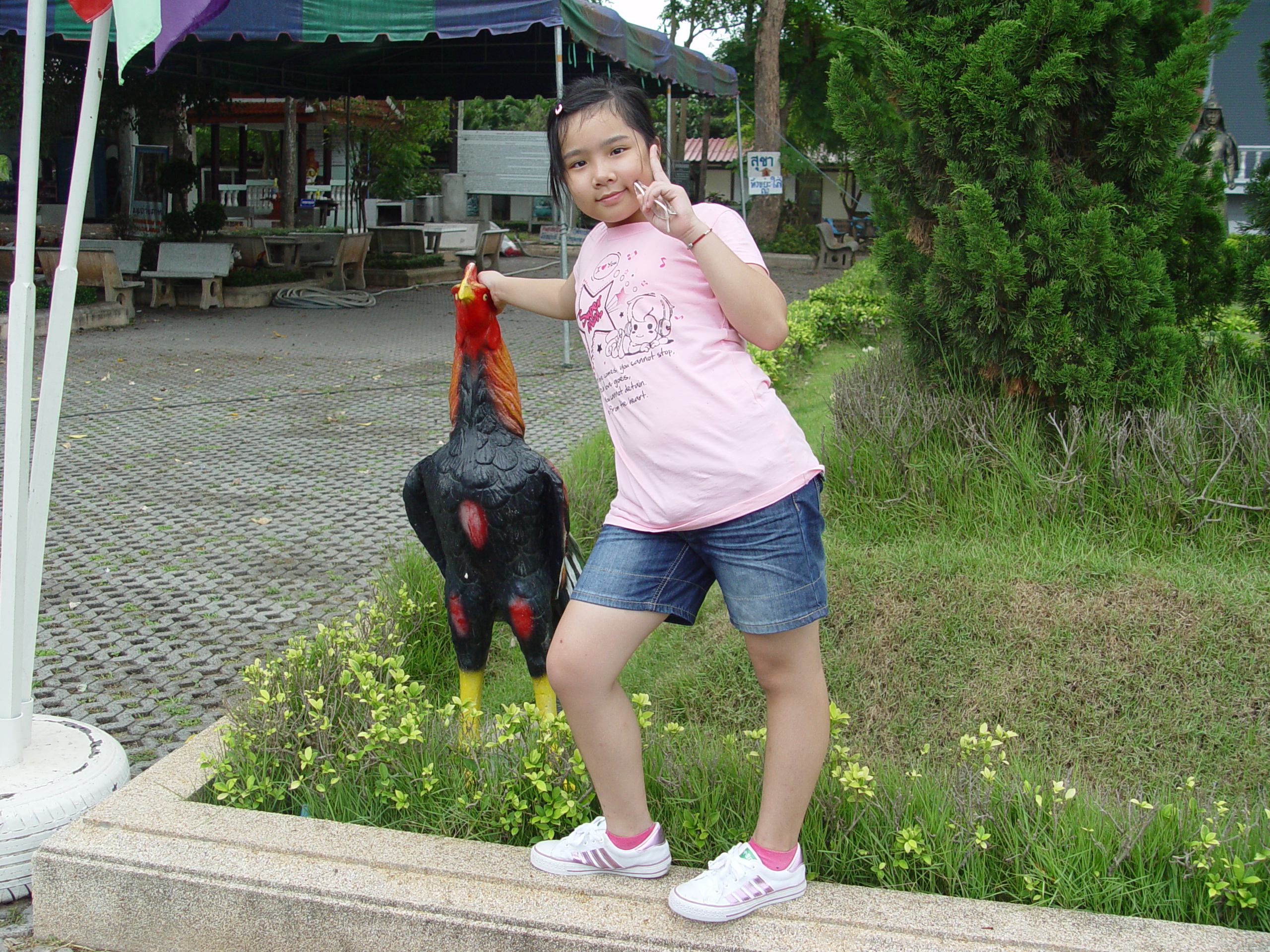DSC00412