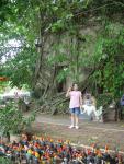 DSC00421