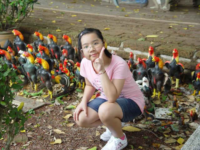 DSC00423