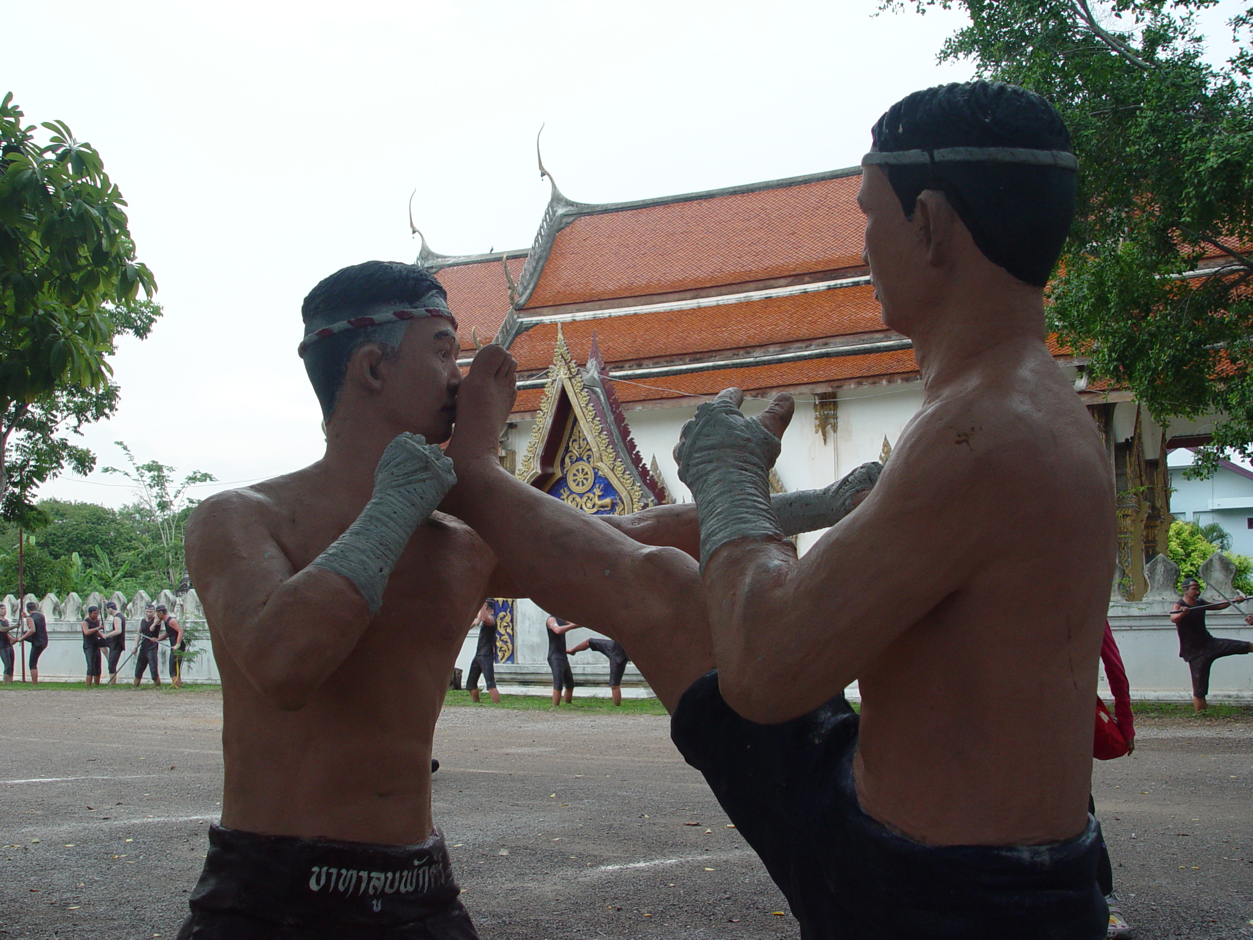 DSC00430