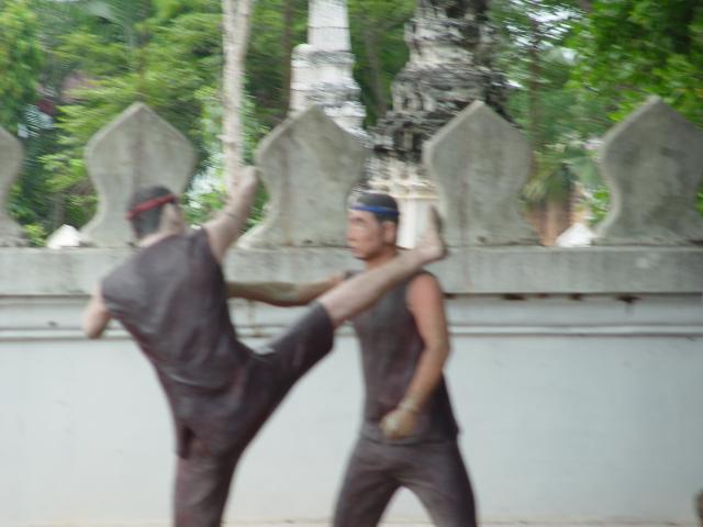 DSC00433