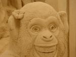DSC00519