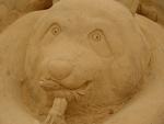 DSC00609
