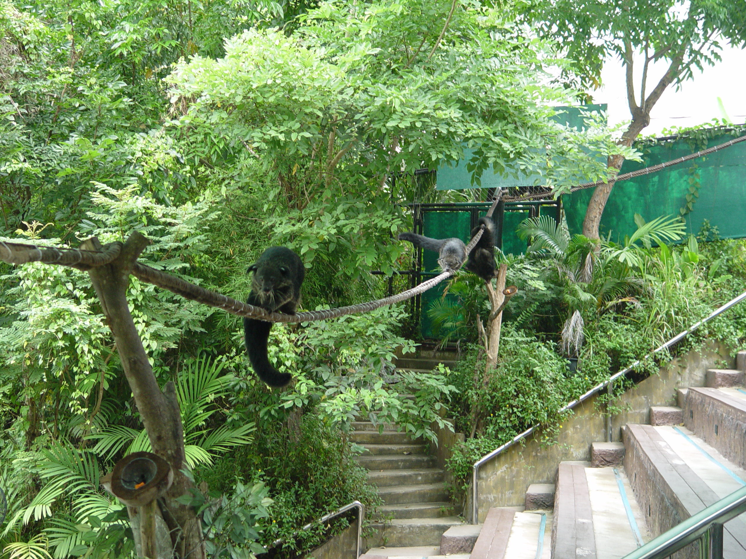 DSC00675