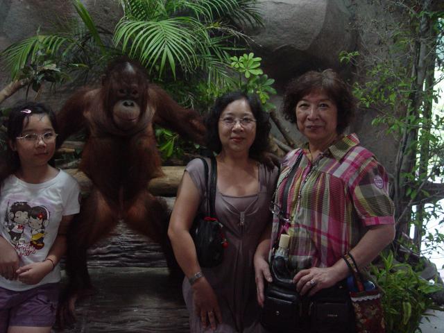 DSC00706