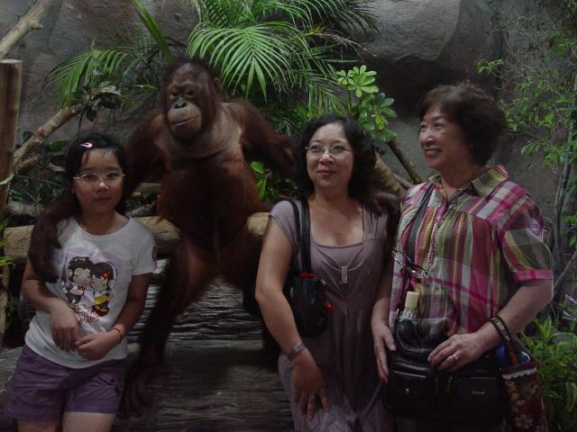 DSC00708