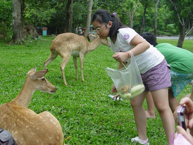 DSC00717