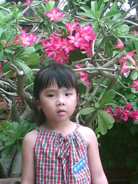 PHTO0011