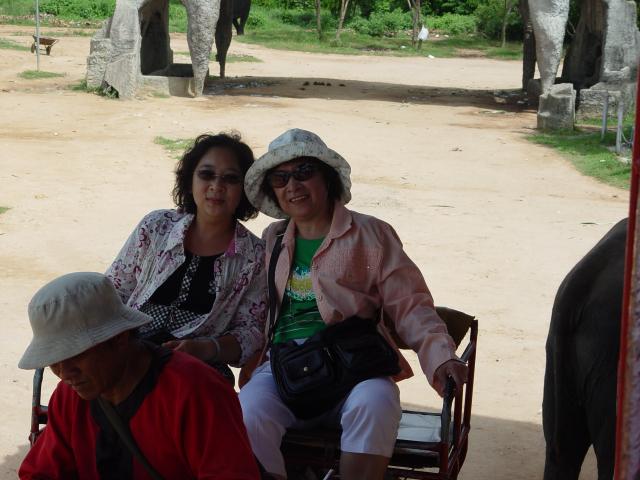 DSC00798