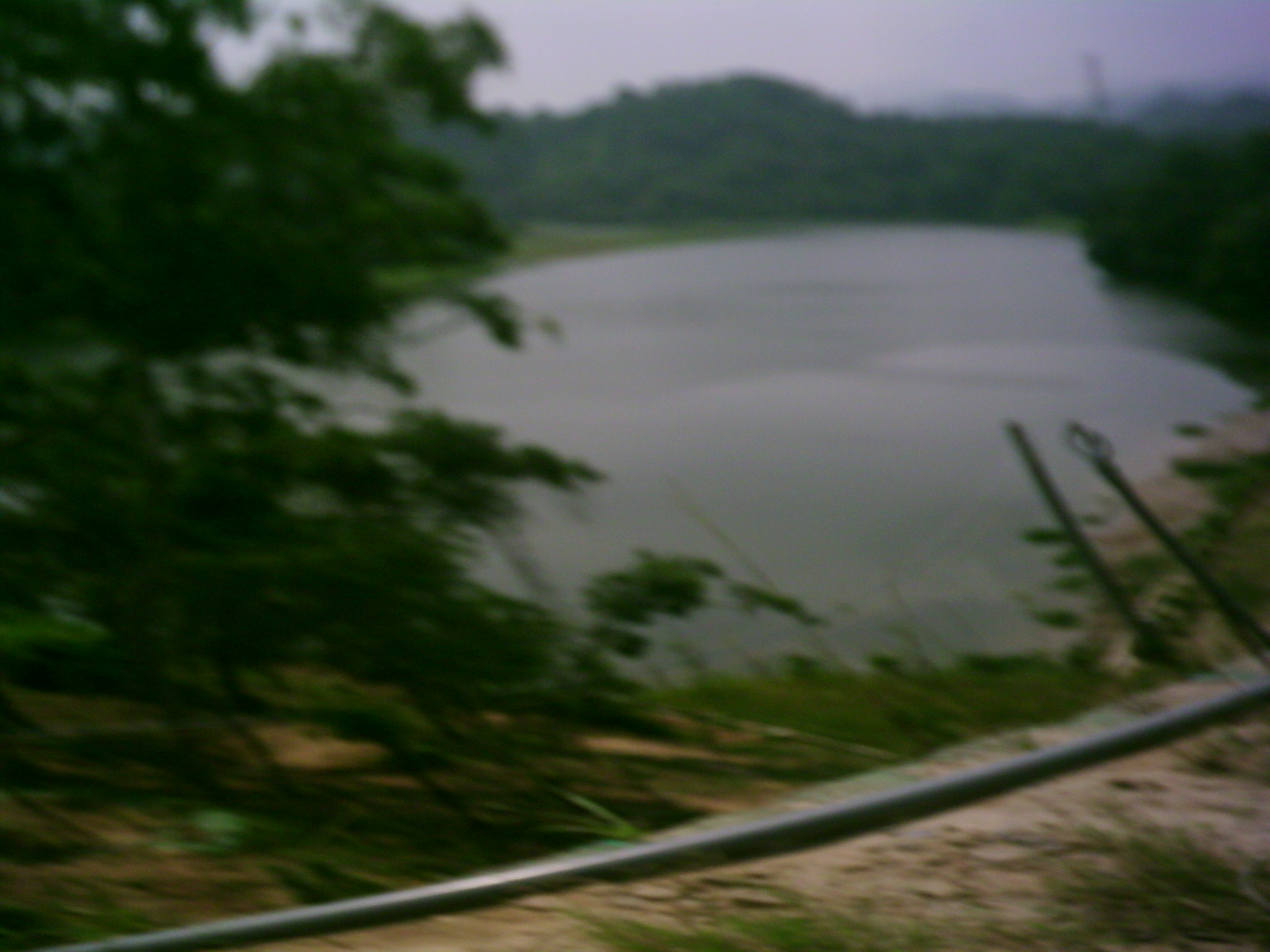 PHTO0042